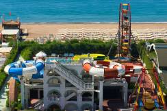 DELPHIN IMPERIAL Activities